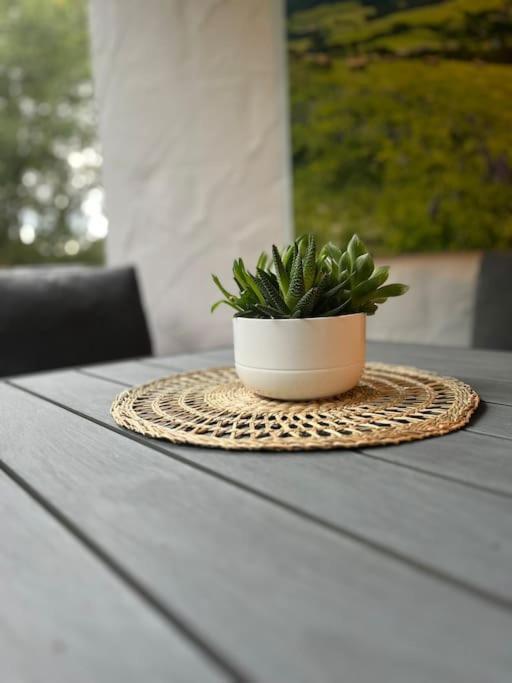 Ferienappartement Schwarzwaldeck In Todtnauberg Εξωτερικό φωτογραφία