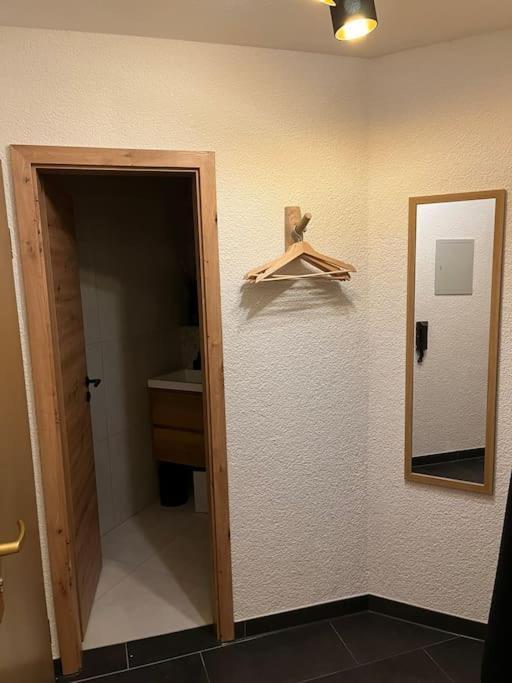 Ferienappartement Schwarzwaldeck In Todtnauberg Εξωτερικό φωτογραφία