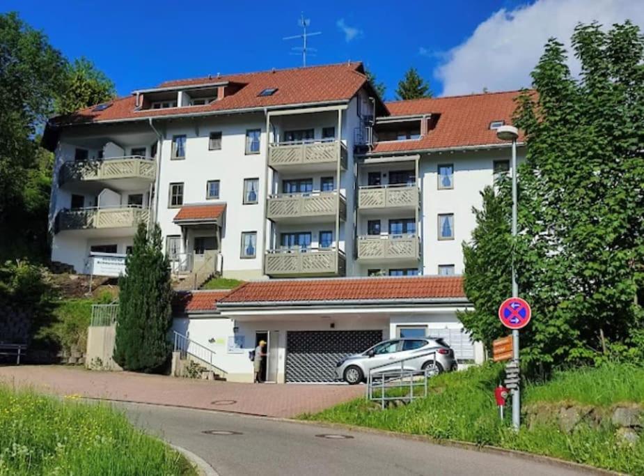 Ferienappartement Schwarzwaldeck In Todtnauberg Εξωτερικό φωτογραφία