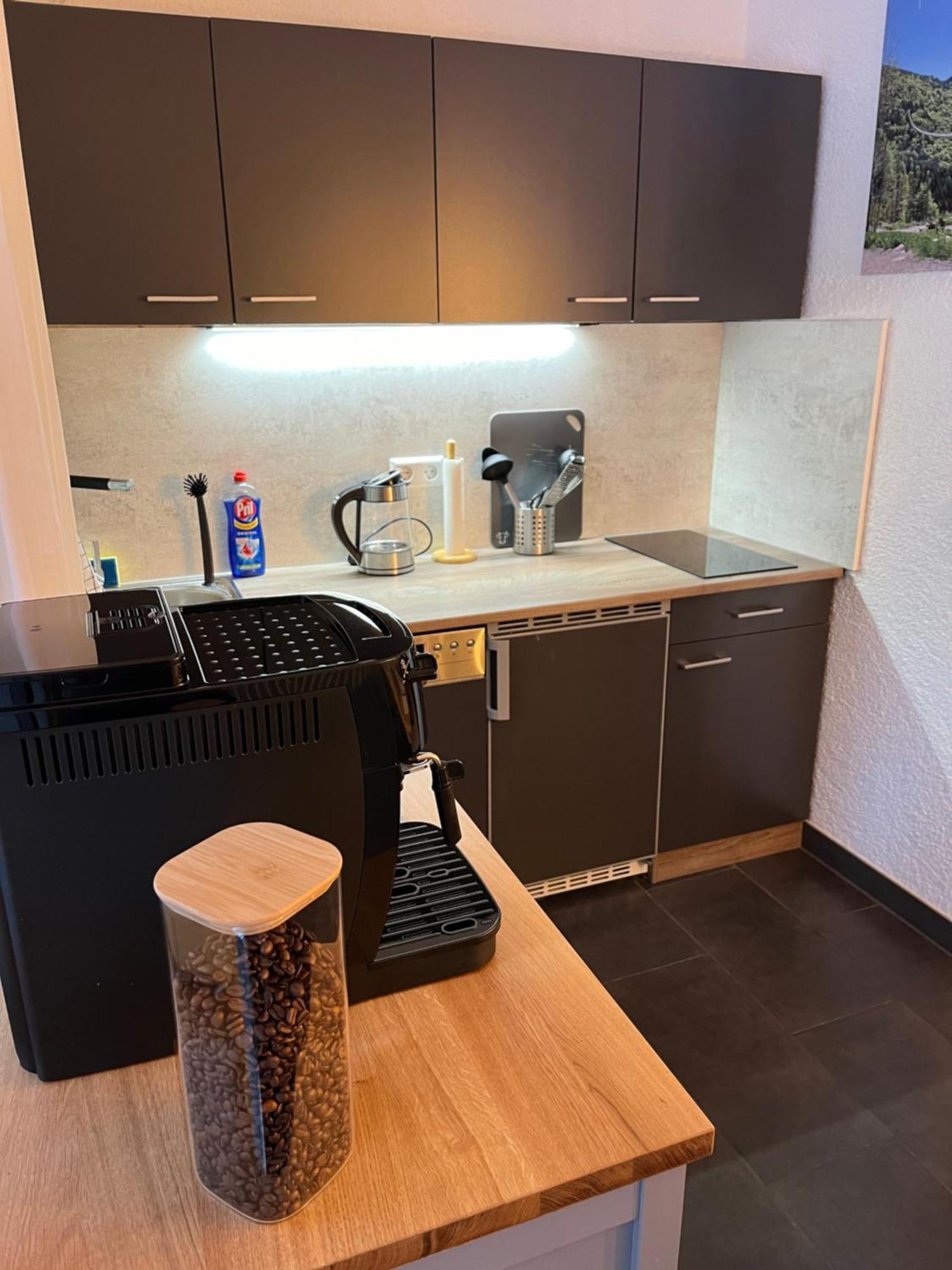 Ferienappartement Schwarzwaldeck In Todtnauberg Εξωτερικό φωτογραφία