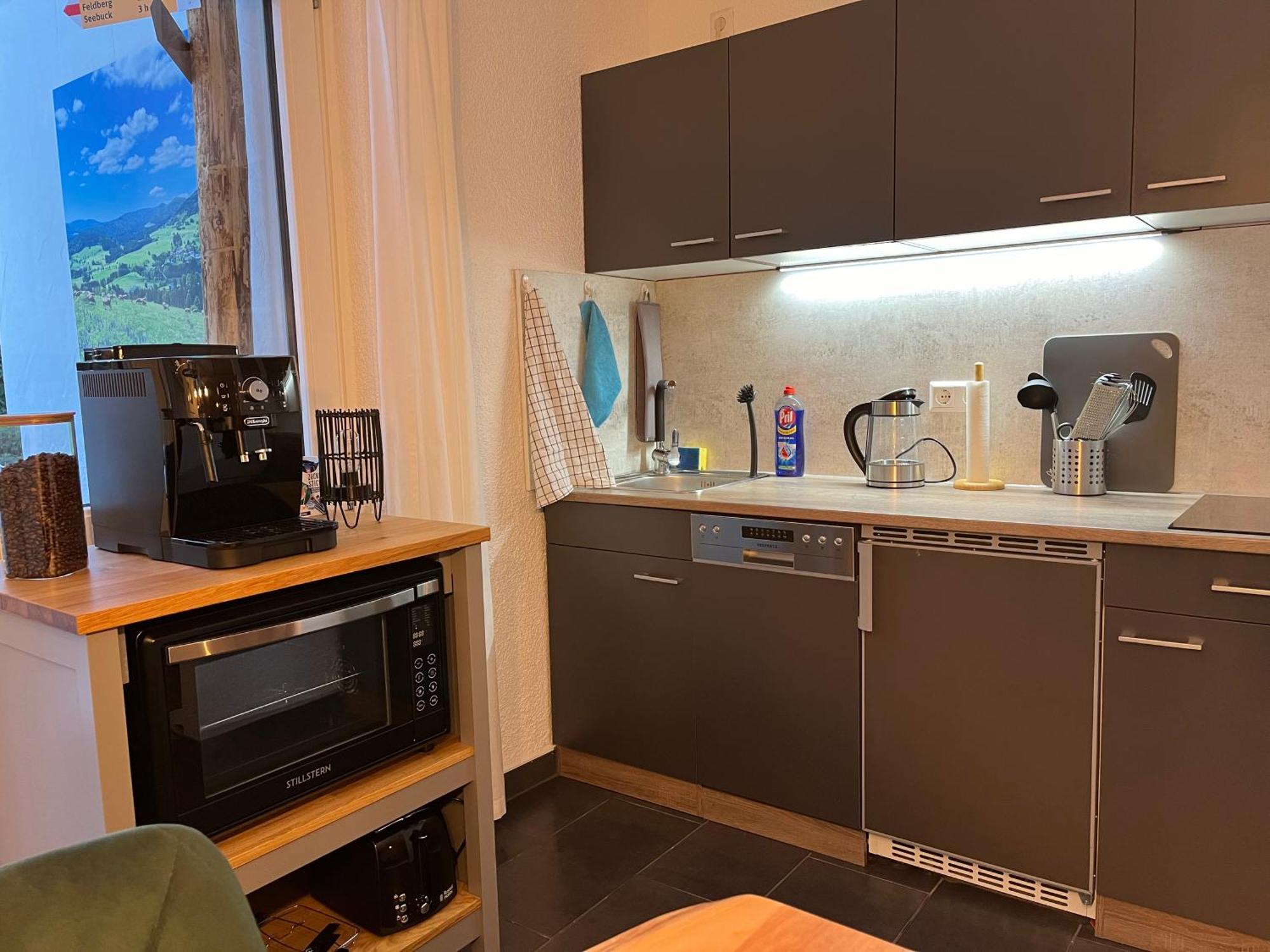Ferienappartement Schwarzwaldeck In Todtnauberg Εξωτερικό φωτογραφία